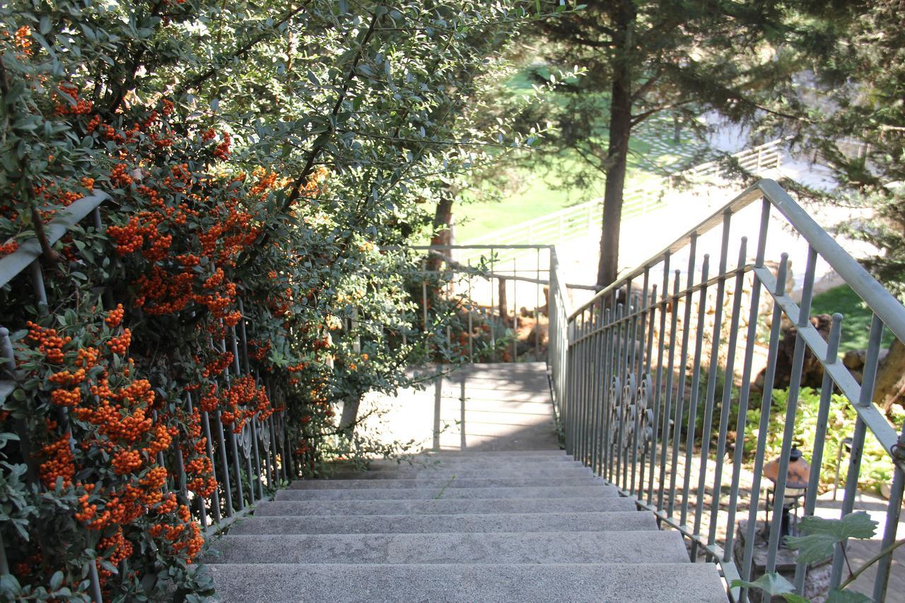 Domaine De Chouchene Hotell Sahrat al Qashsh Exteriör bild